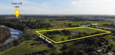 Farm Sold - VIC - Swan Hill - 3585 - Metres from the Murray  (Image 2)