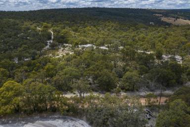 Farm For Sale - WA - Lower Chittering - 6084 - Rural Oasis!!!  (Image 2)