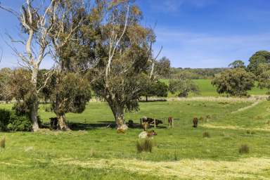 Farm Sold - VIC - Freshwater Creek - 3217 - "The Farm" Freshwater Creek, Vic 3216  (Image 2)