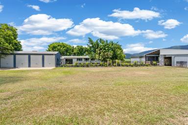 Farm Sold - QLD - Aloomba - 4871 - FAMILY RESIDENCE SET ON 84 ACRES PROVIDING ATTRACTIVE CASHFLOW  (Image 2)