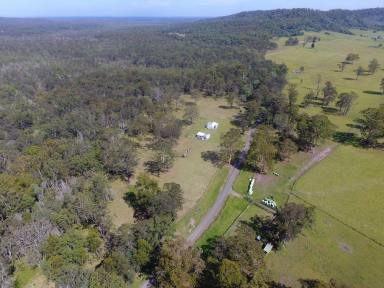 Farm Sold - NSW - New Italy - 2472 - TREE CHANGE TIME - OFF GRID  (Image 2)