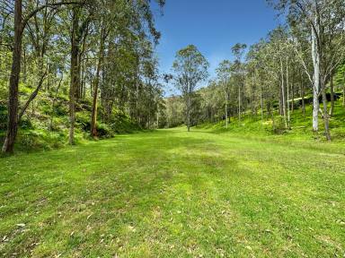 Farm Sold - NSW - Laguna - 2325 - Pristine Hidden Valley  (Image 2)