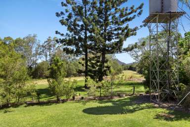 Farm Sold - QLD - Cooroy - 4563 - Elevated and Partially Cleared 52.36 acres In Cooroy  (Image 2)