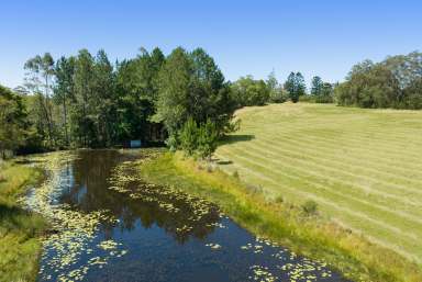 Farm Sold - QLD - Cooroy - 4563 - Elevated and Partially Cleared 52.36 acres In Cooroy  (Image 2)