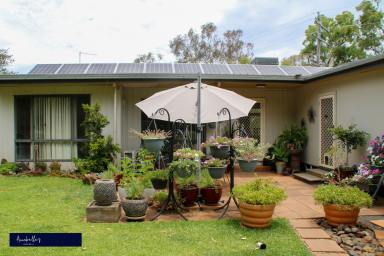 Farm Sold - NSW - Inverell - 2360 - Country Lifestyle is set on arrival!  (Image 2)