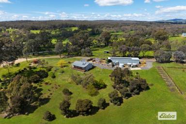 Farm Sold - VIC - Sedgwick - 3551 - COSY HOME, PARK LIKE SETTING & GREAT HORSE INFRASTRUCTURE  (Image 2)