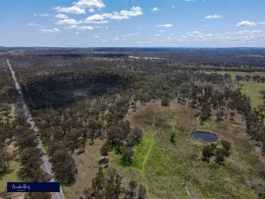 Farm Sold - NSW - Inverell - 2360 - BUSH GETAWAY  (Image 2)