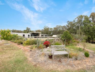 Farm Sold - VIC - Wahgunyah - 3687 - Beautiful Lifestyle Property in Historic Winegrowing Country  (Image 2)