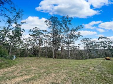 Farm Sold - NSW - Laguna - 2325 - Peaceful Bush Retreat  (Image 2)