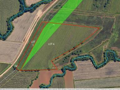 Farm For Sale - QLD - East Feluga - 4854 - LOOKING FOR A TREE CHANGE?  (Image 2)
