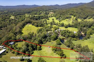 Farm For Sale - NSW - Bellingen - 2454 - Stunning Mountain views, acreage with river and close town  (Image 2)
