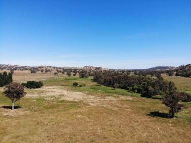 Farm Sold - NSW - Adelong - 2729 - Vacant Land  (Image 2)