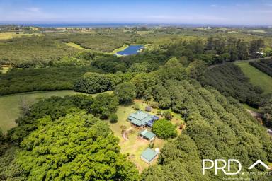 Farm For Sale - NSW - Brooklet - 2479 - It's all about location, location, location!  (Image 2)