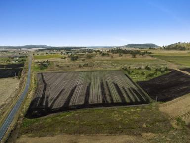 Farm Sold - QLD - East Greenmount - 4359 - 15 Acre lifestyle block just 20 Minutes to Toowoomba  (Image 2)