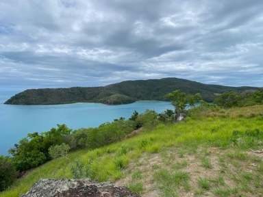 Farm Sold - QLD - Mackay - 4740 - 4113 m² BLOCK of RESIDENTIAL LAND LOT CI, KESWICK ISLAND  (Image 2)