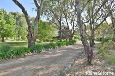 Farm Sold - NSW - Wombat - 2587 - COUNTRY LIVING!  (Image 2)