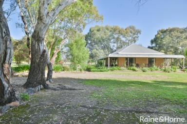 Farm Sold - NSW - Wombat - 2587 - COUNTRY LIVING!  (Image 2)