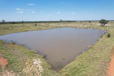 Farm Sold - QLD - Emerald - 4720 - "ECHIDNA VALLEY", EMERALD  (Image 2)