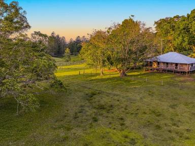 Farm Sold - NSW - Rock Valley - 2480 - Welcome 'LANGHAM DOWNS ' Sale by Tender Closing 14th February 2023 4PM  (Image 2)