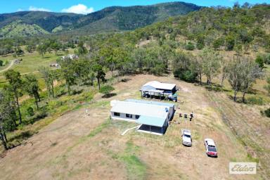 Farm Sold - QLD - Widgee - 4570 - MOTIVATED VENDOR IS SELLING!  (Image 2)