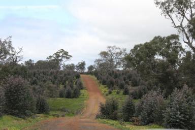 Farm Sold - VIC - Nareen - 3315 - Reversion Opportunity - Western Victoria  (Image 2)