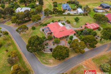 Farm Sold - WA - Warrenup - 6330 - Quality Exquisite Home, Beautiful Block, Valley Outlook  (Image 2)