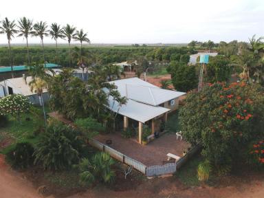 Farm Sold - WA - Carnarvon - 6701 - Gascoyne Mango Plantation & Tropical Nursery  (Image 2)