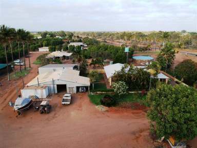 Farm Sold - WA - Carnarvon - 6701 - Gascoyne Mango Plantation & Tropical Nursery  (Image 2)