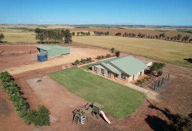 Farm Sold - WA - Northampton - 6535 - What a Unicorn  (Image 2)