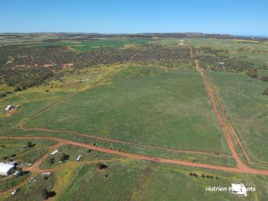 Farm Sold - WA - Isseka - 6535 - 'All Reasonable Offers Considered'  (Image 2)