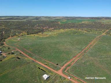 Farm Sold - WA - Isseka - 6535 - 'All Reasonable Offers Considered'  (Image 2)