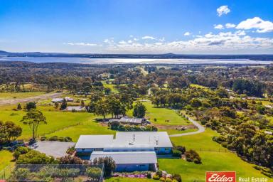 Farm Sold - WA - Kalgan - 6330 - Ultimate Lifestyle Property with Views to Live For  (Image 2)