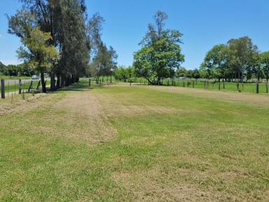 Farm For Sale - NSW - South Grafton - 2460 - GROW YOUR OWN- SECURE YOUR FUTURE  (Image 2)