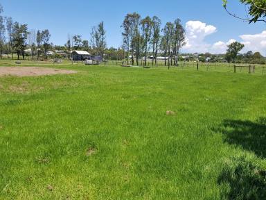 Farm For Sale - NSW - South Grafton - 2460 - GROW YOUR OWN- SECURE YOUR FUTURE  (Image 2)