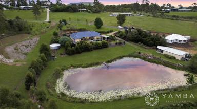 Farm Sold - QLD - Lagoon Pocket - 4570 - Executive Acreage Mary Valley  (Image 2)