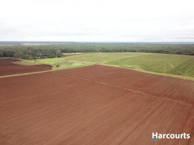 Farm For Sale - QLD - Bullyard - 4671 - PRICE REDUCTION!! Large red soil property with heaps of water - 126.5 hectares (312.5 acres)  (Image 2)