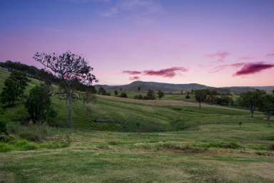 Farm Sold - NSW - Dungog - 2420 - Make the most of modern living in a timeless location  (Image 2)