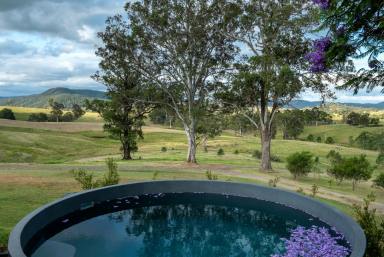 Farm Sold - NSW - Dungog - 2420 - Make the most of modern living in a timeless location  (Image 2)