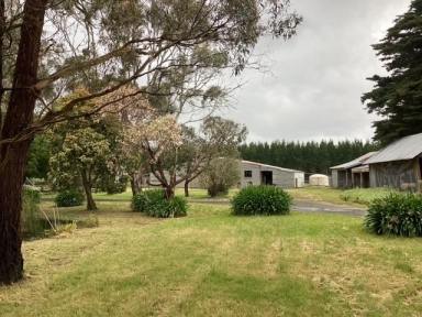 Farm Sold - VIC - Elaine - 3334 - 5 Bedroom Residence; 35Ha (approx. 87 acres); Numerous Sheds; Grazing; Horses  (Image 2)