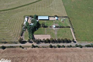 Farm For Sale - VIC - Giffard West - 3851 - COTTONWOOD GROVE STABLES  (Image 2)
