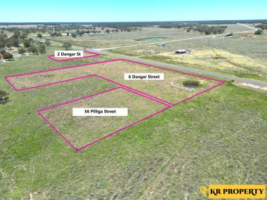 Farm Sold - NSW - Pilliga - 2388 - BUILDING BLOCK FOR SALE - 500 METRES FROM THE PILLIGA HOT BORE!  (Image 2)