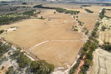 Farm Sold - WA - Cubbine - 6383 - Your opportunity to purchase a productive parcel of land.  (Image 2)