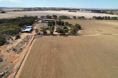 Farm Sold - WA - Cubbine - 6383 - Your opportunity to purchase a productive parcel of land.  (Image 2)