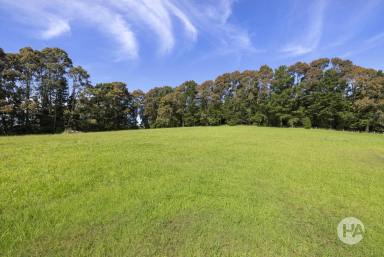 Farm Sold - VIC - Red Hill South - 3937 - Two Rare 10 Acre lots To Build The Dream!  (Image 2)