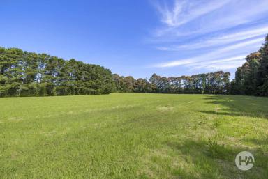 Farm Sold - VIC - Red Hill South - 3937 - Two Rare 10 Acre lots To Build The Dream!  (Image 2)