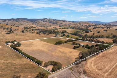 Farm Sold - VIC - Euroa - 3666 - Immaculate Lifestyle Offering  (Image 2)