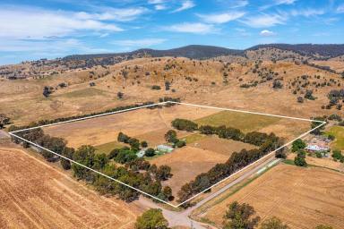 Farm Sold - VIC - Euroa - 3666 - Immaculate Lifestyle Offering  (Image 2)