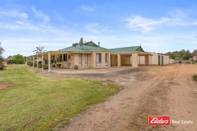 Farm Sold - WA - Mount Barker - 6324 - Ready For a Big Cook-up at Mccook Road  (Image 2)