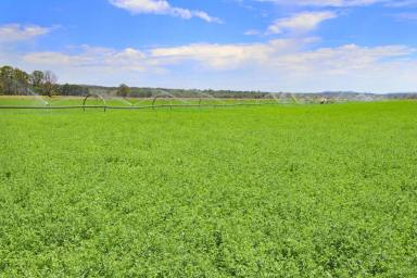Farm For Sale - QLD - Monto - 4630 - Irrigation, Cropping and Grazing  (Image 2)