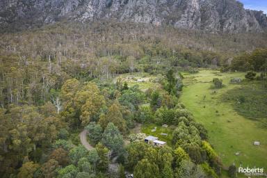 Farm Sold - TAS - Claude Road - 7306 - Live amongst the trees  (Image 2)